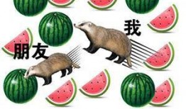 吃瓜群分享免费,吃瓜群免费分享背后的秘密与惊喜